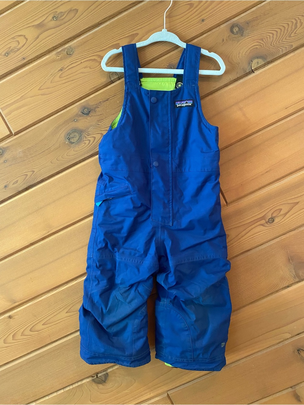 Patagonia Bib Snow Pants